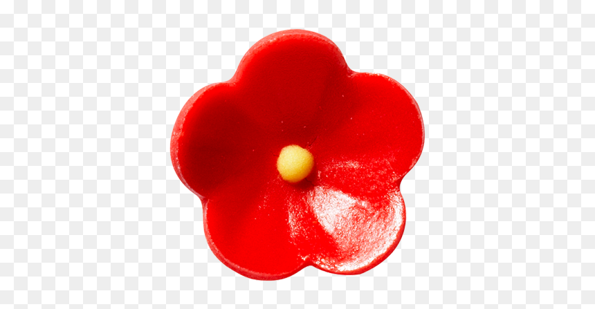Impatiens, HD Png Download - red poppy png