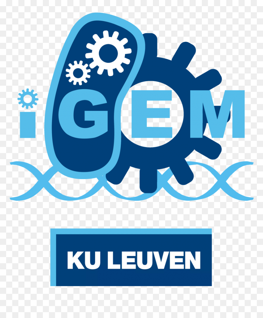 Katholieke Universiteit Leuven, HD Png Download - explore icon png