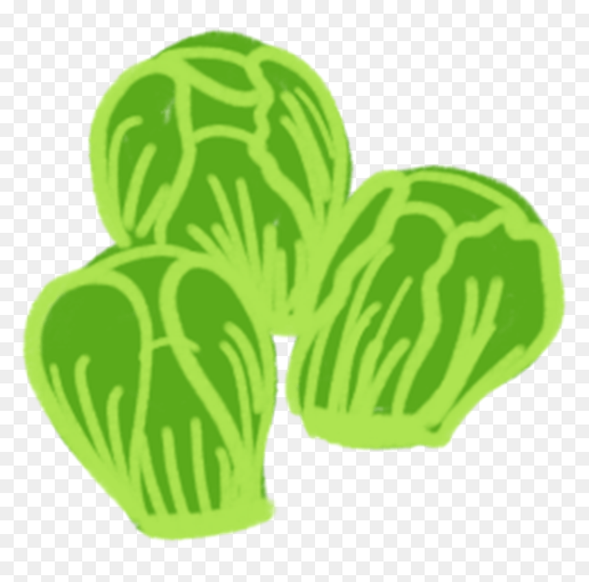 Squash, HD Png Download - brussel sprouts png