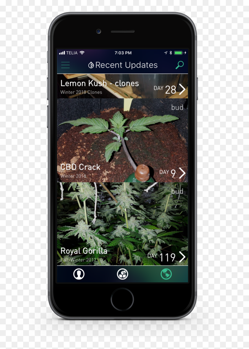 Iphone Image - Smartphone, HD Png Download - bud png