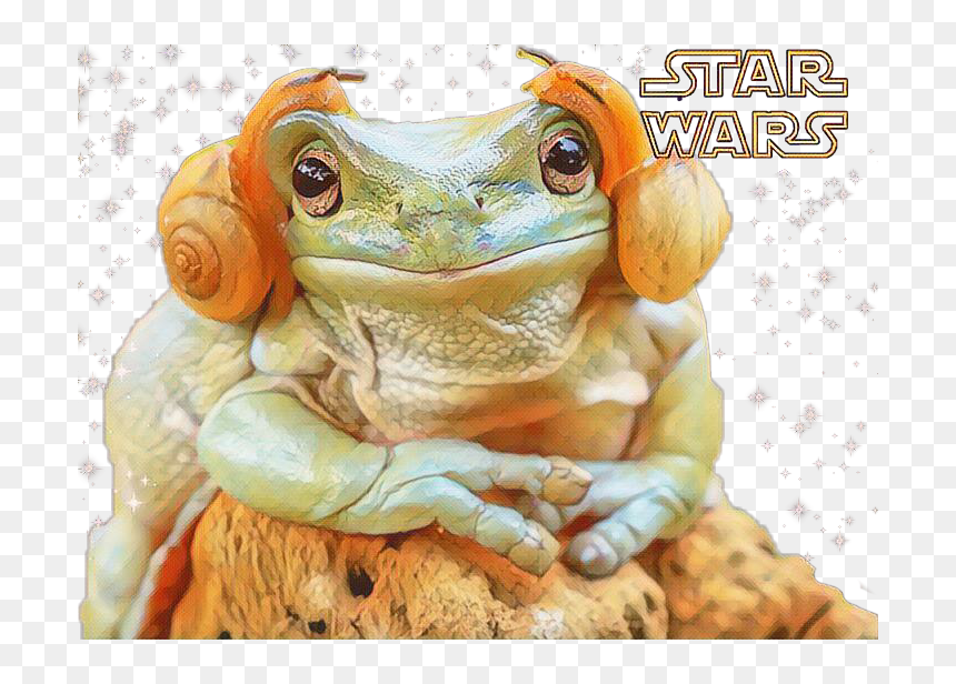 #snail #scsnails #snails
3rd Place Snail Sticker - Frog Photoshop, HD Png Download - 3rd place png