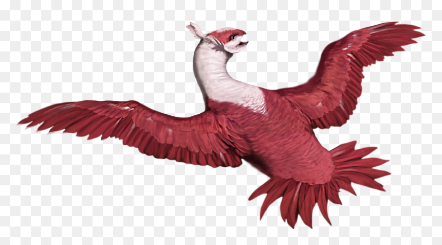 Latias Rj - Pigeons And Doves, HD Png Download - latias png