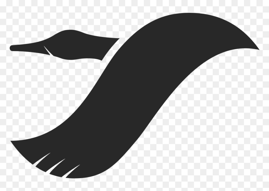 Traveloth - Duck, HD Png Download - chicago blackhawks feathers png