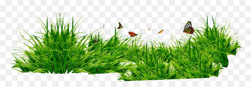 Grass Png, Transparent Png - grass png hd