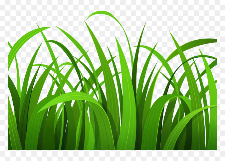 Grass Clipart Transparent Background, HD Png Download - grass png hd