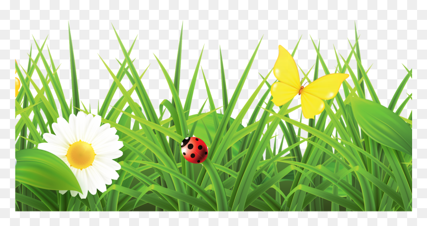 Flower Images Hd Png, Transparent Png - flowers png hd