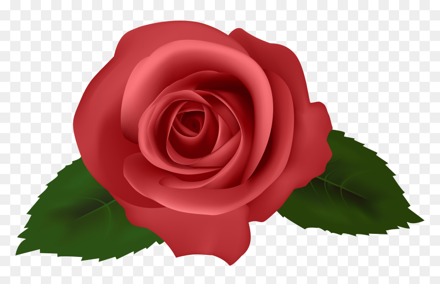Hd Images Full Flowers, HD Png Download - flowers png hd