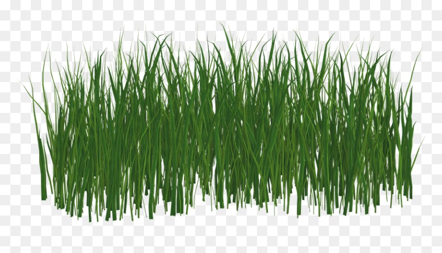 Black Transparent Grass Png, Png Download - grass png hd