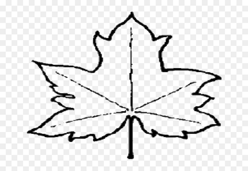 Outline Images Of Leaf, HD Png Download - outline png