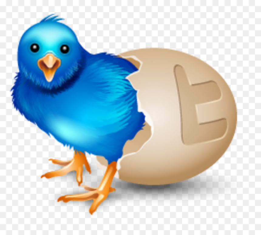 Twitter Vector Icons Massive Icon Set - Social Media Icon Birds, HD Png Download - twitter vector png