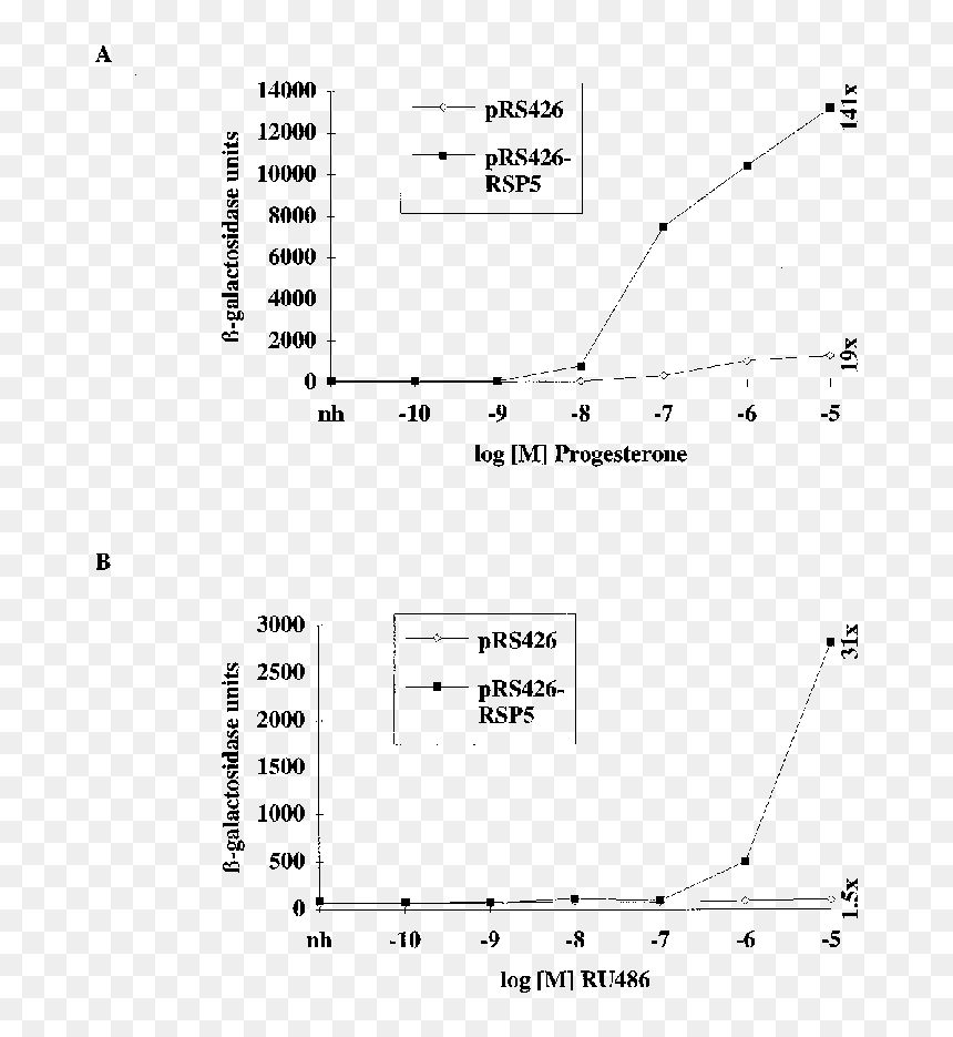 Diagram, HD Png Download - yeast png