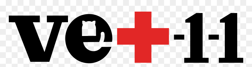 Cross, HD Png Download - veterinarian symbol png