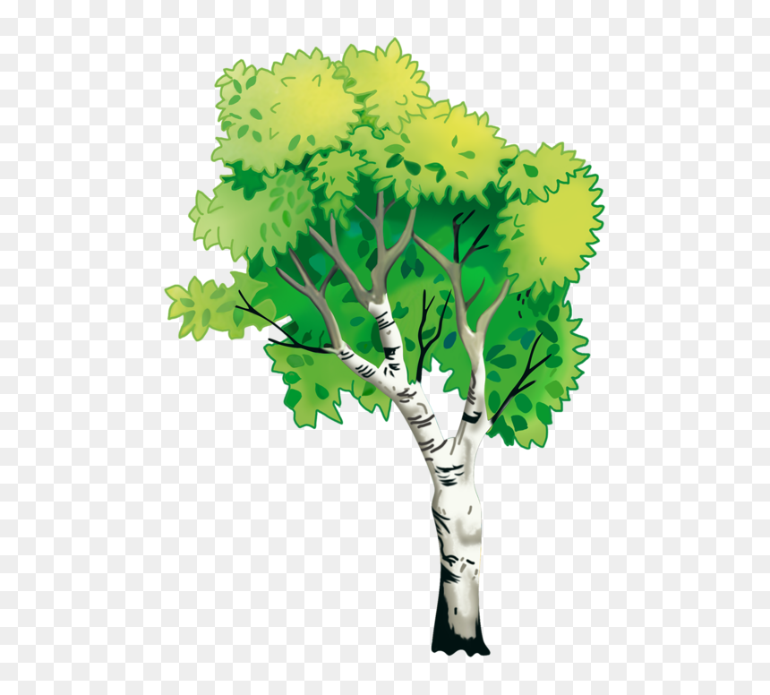 Nature Natural Environment Tree - Nature, HD Png Download - nature.png