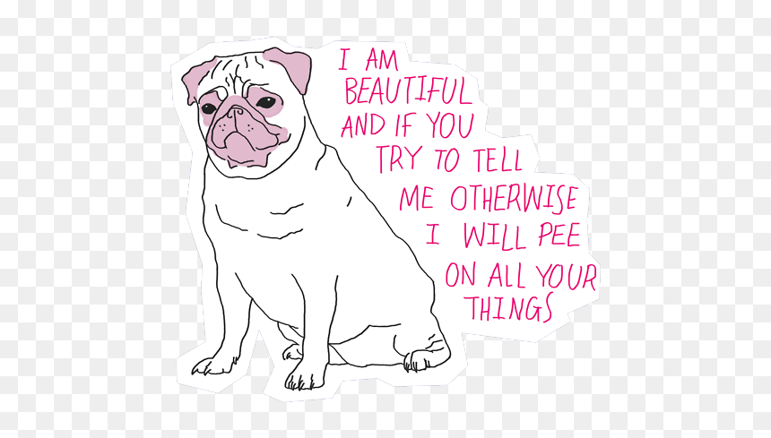 Pug, Dog, And Quotes Image - Am Beautiful And If You Tell Me Otherwise I Will Pee, HD Png Download - tumblr dog png