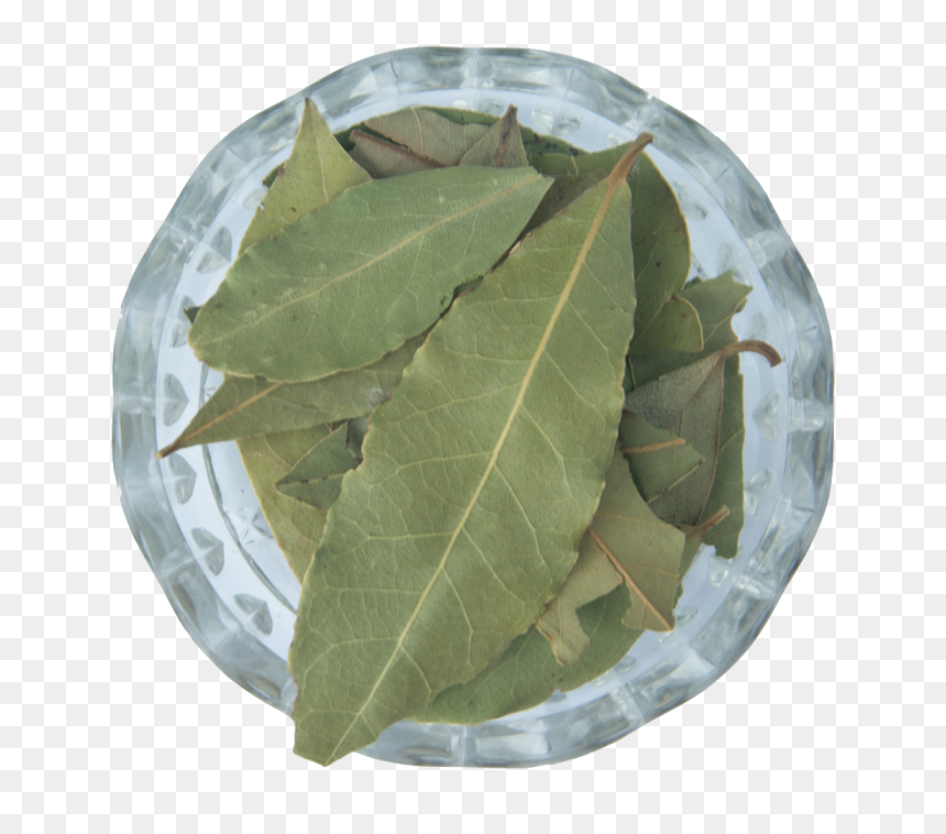Herbal, HD Png Download - pot leaf.png