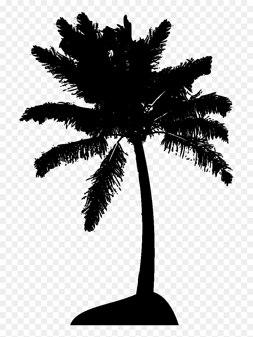 Palm Tree Set Png - قافله ی حسین, Transparent Png - palm vector png