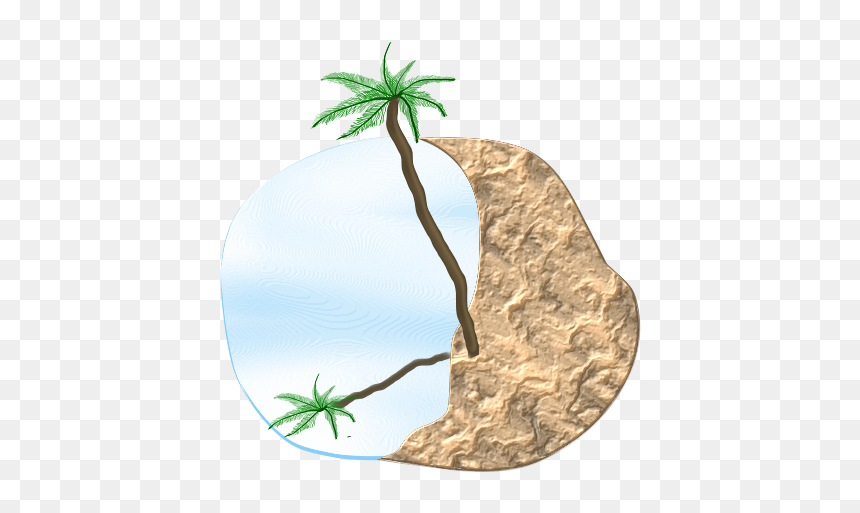 Palm Beach Svg Clip Arts - Illustration, HD Png Download - palm vector png