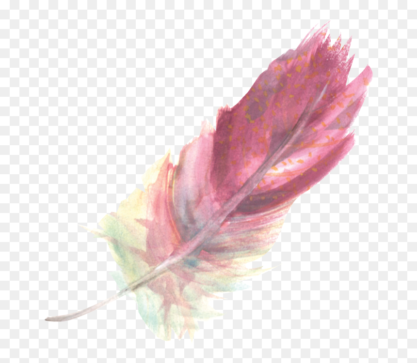 Maple Leaf, HD Png Download - boho feather png
