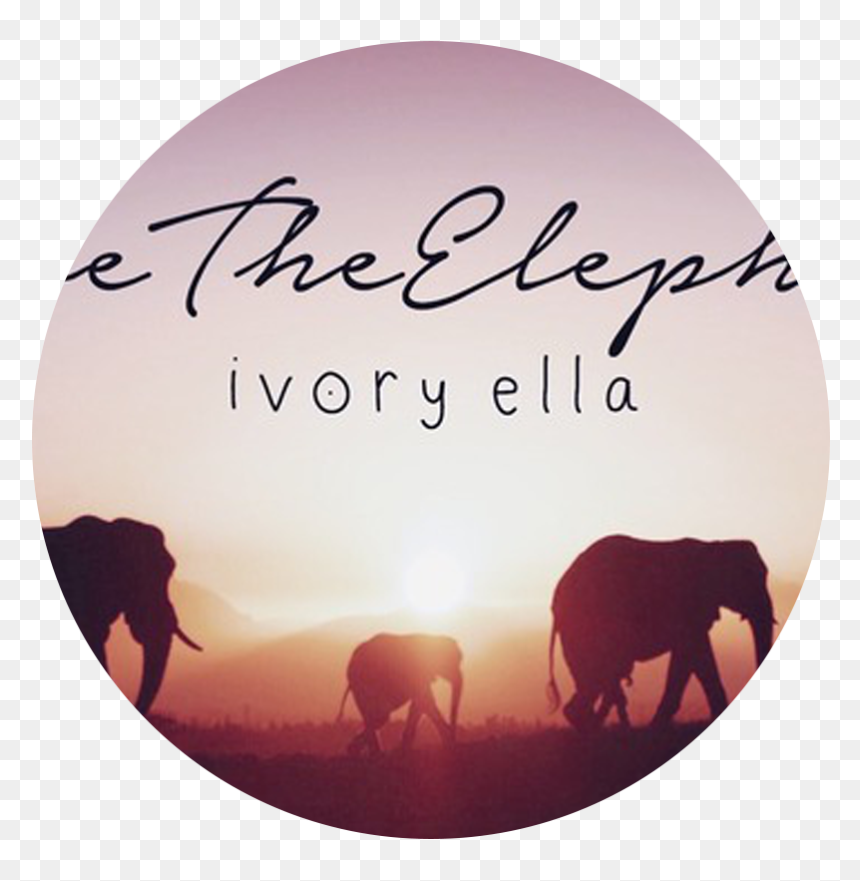 Ivory Ella Logo - Mypeeptoes, HD Png Download - ivory ella png
