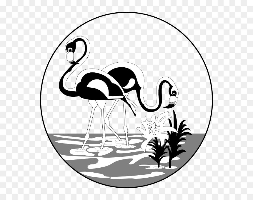 Black And White Flamingo Vector, HD Png Download - flamingos png
