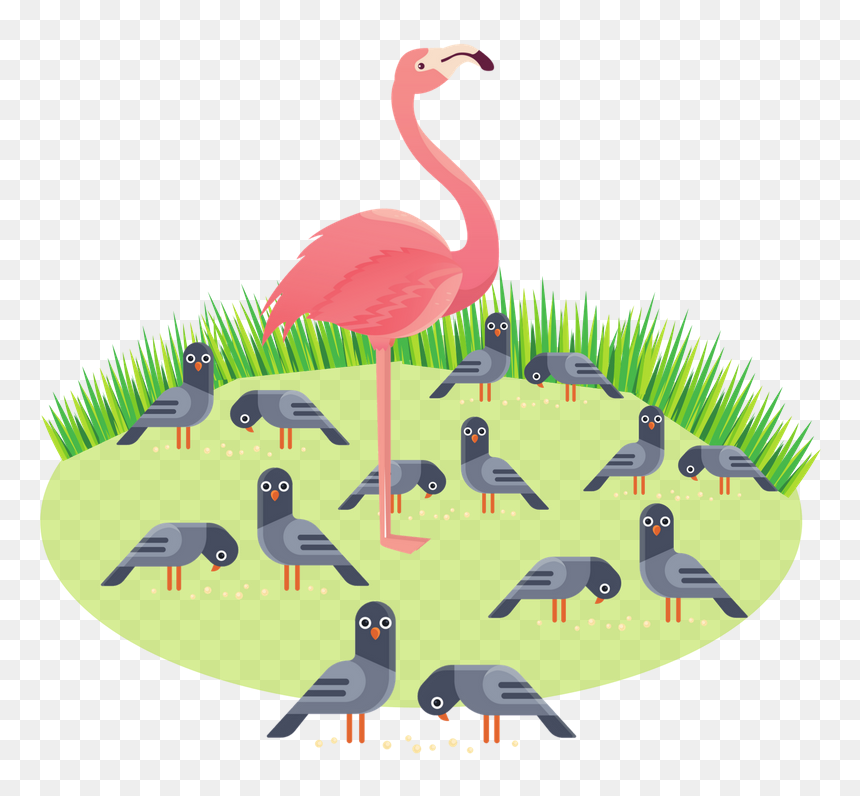 Greater Flamingo, HD Png Download - flamingos png