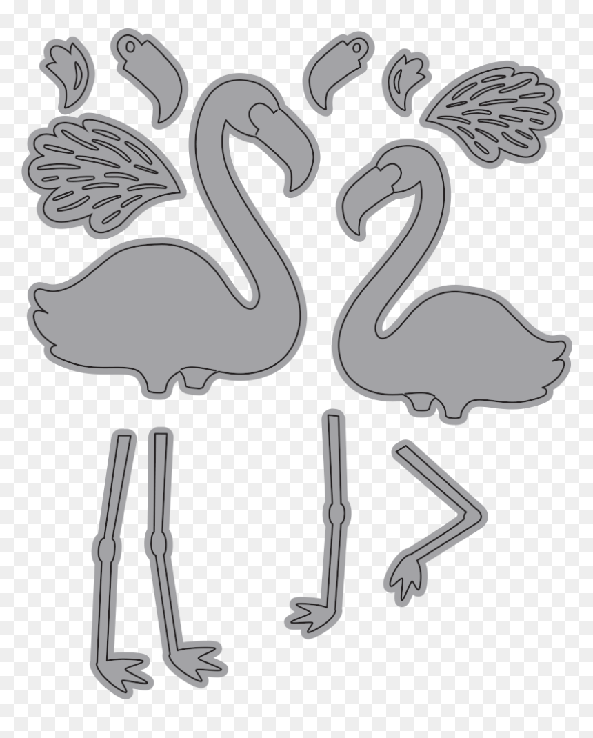 Flamingos - Swan, HD Png Download - flamingos png