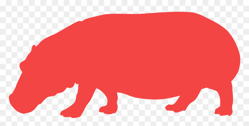 Hippopotamus, HD Png Download - hippopotamus png
