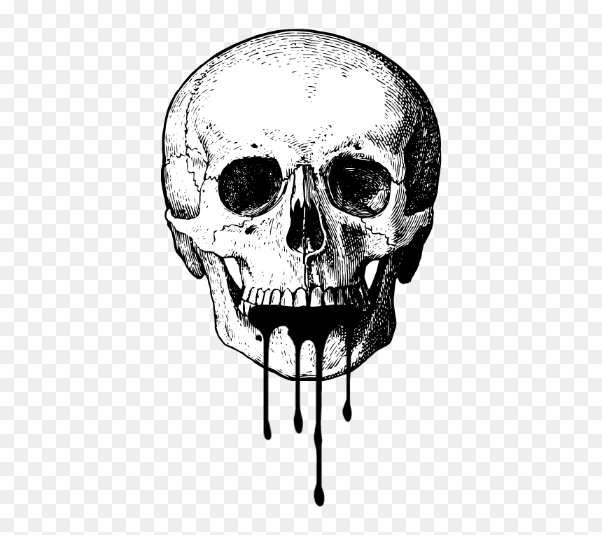 Human Skull Vintage Illustration, HD Png Download - broken skull png