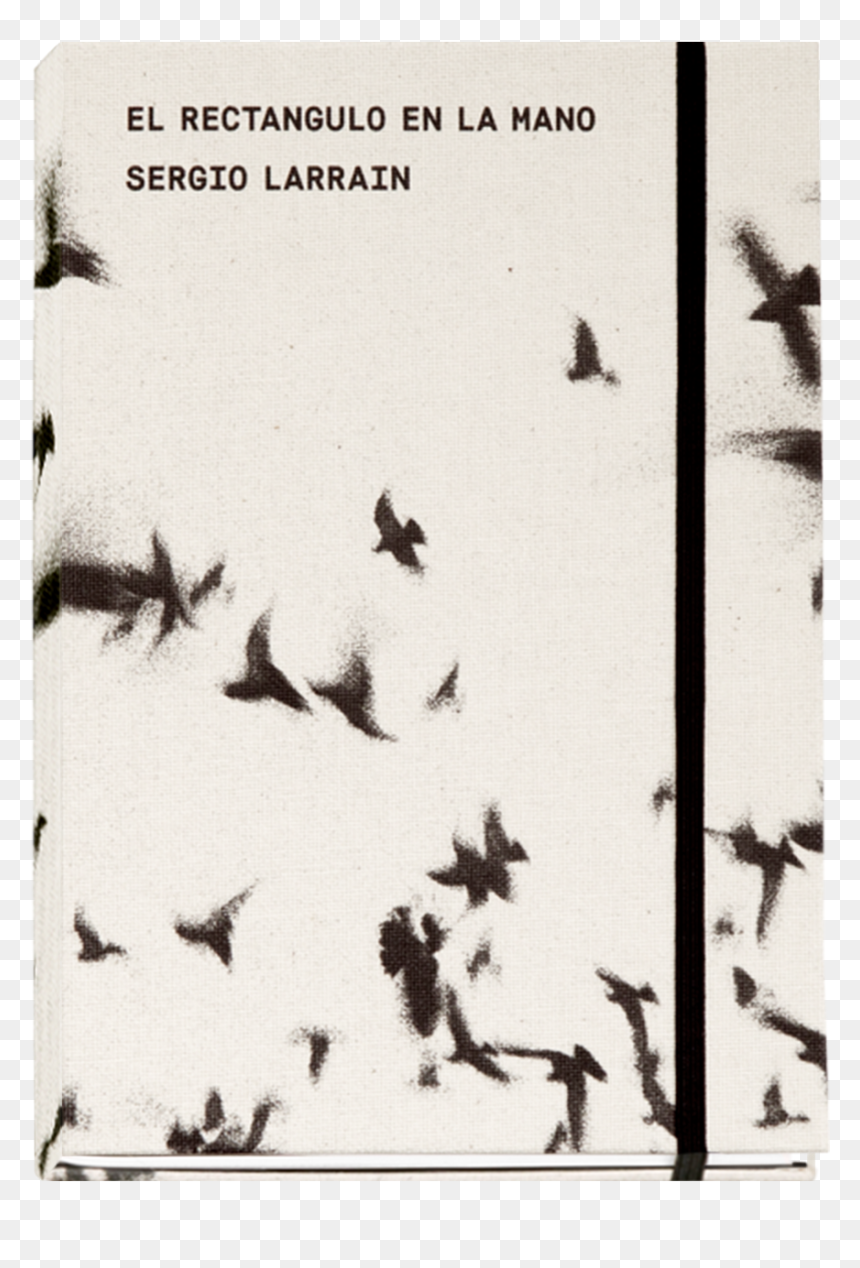 Sergio Larrain El Rectangulo En La Mano, HD Png Download - rectangulos png