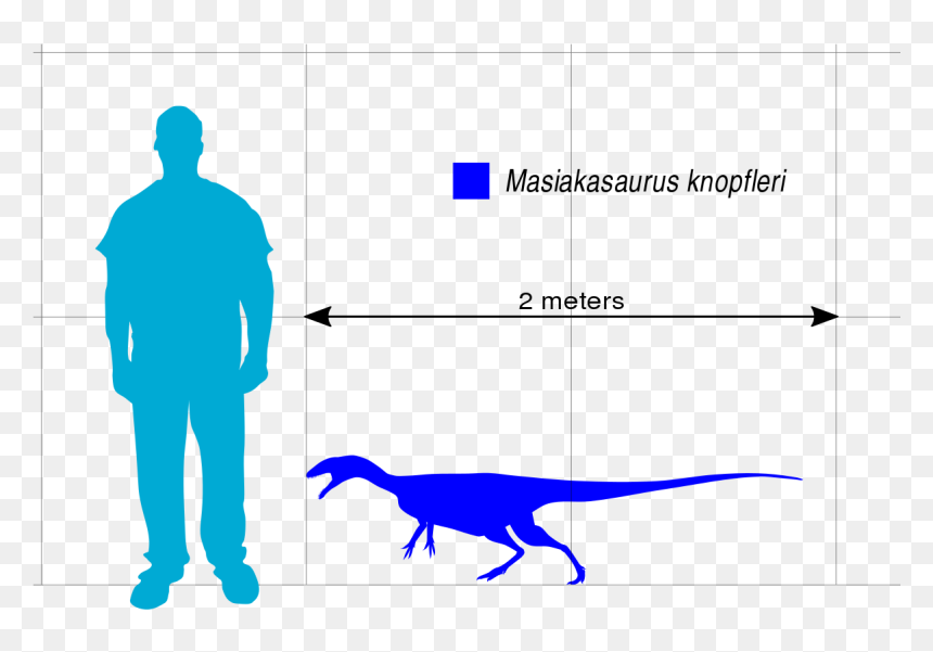 File - Masiakasaurus Scale - Svg - Ecg User Authentication Algorithm, HD Png Download - architecture scale png