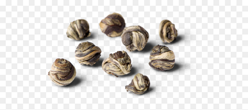 Nut, HD Png Download - snail shell png