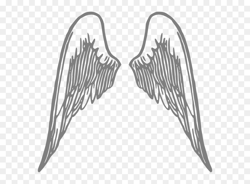 Angel Wings Grey Svg Clip Arts, HD Png Download - bone wings png