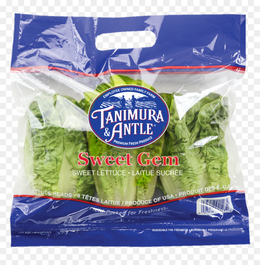 Little Gem Sweet Gem Lettuce, HD Png Download - head of lettuce png