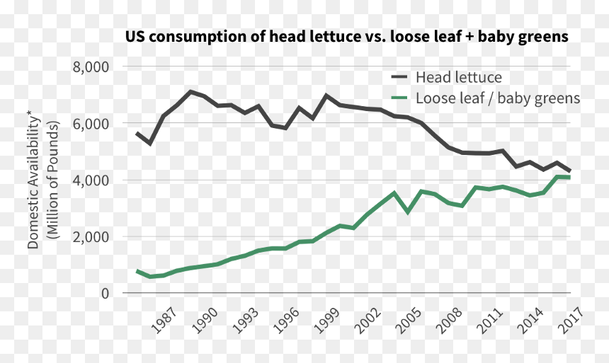 Plot, HD Png Download - head of lettuce png