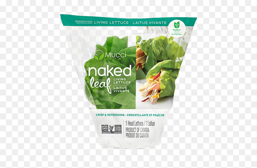 Butter Sleeve New - Diseño Bolsas Lechuga Hidroponica, HD Png Download - head of lettuce png