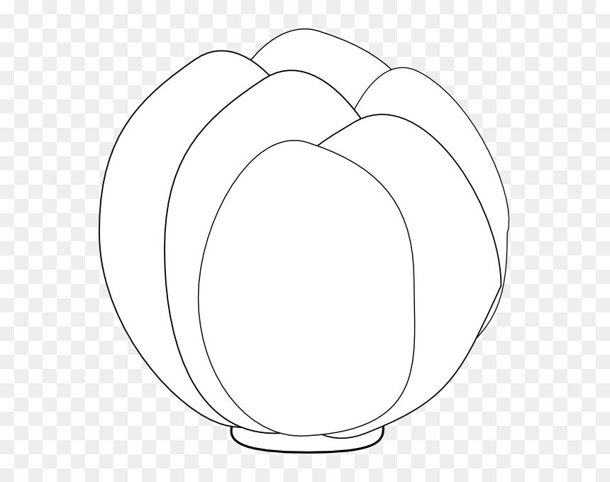 Circle, HD Png Download - head of lettuce png