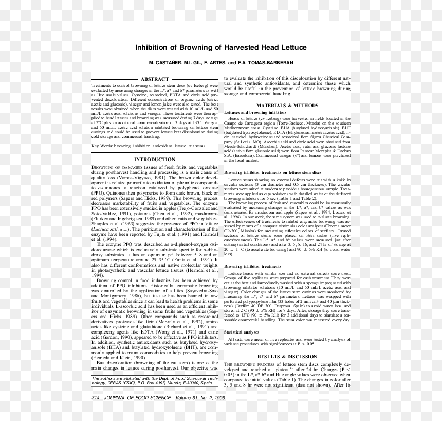 Document, HD Png Download - head of lettuce png