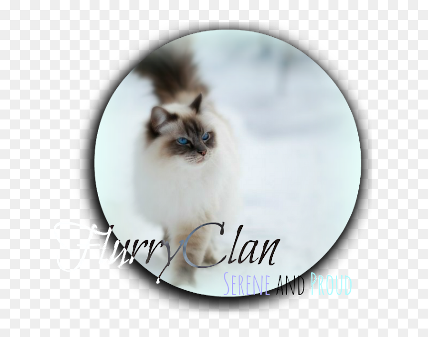 Transformice Flurryclan - Lakan At Lakambini, HD Png Download - transformice png