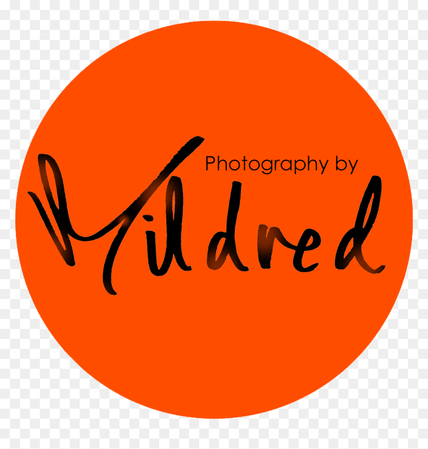 Circle, HD Png Download - mousetrap png