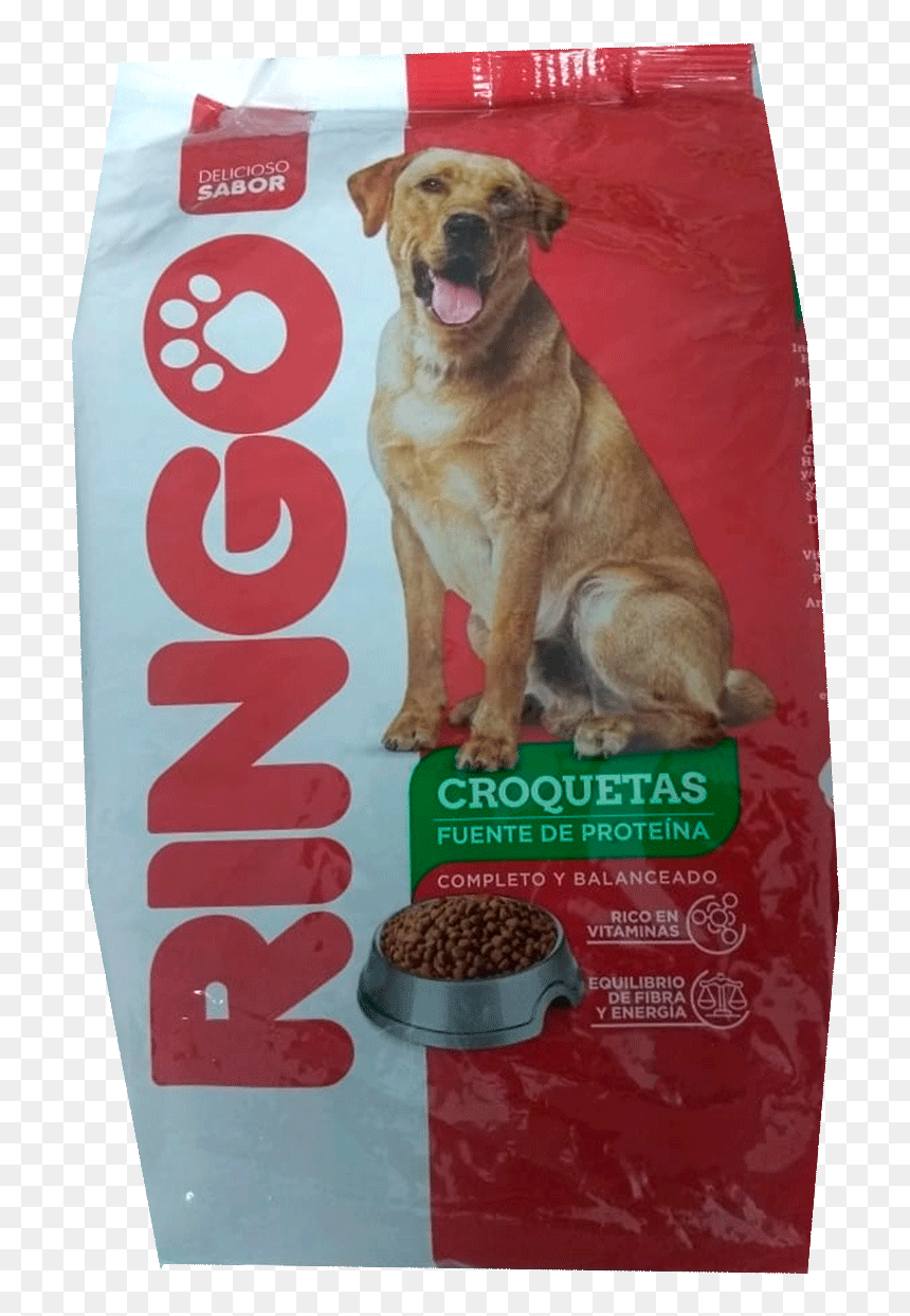 Ringo-croquetas - Companion Dog, HD Png Download - croquetas png