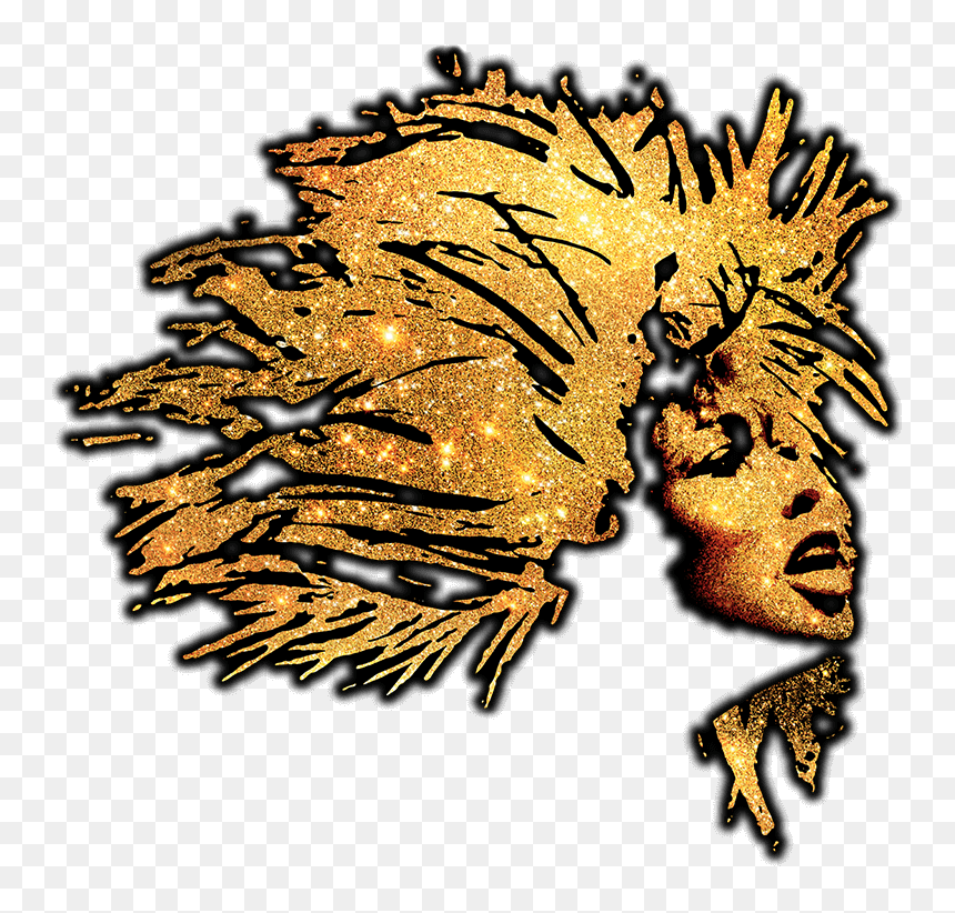 Tina Turner Musical On Broadway, HD Png Download - time turner png