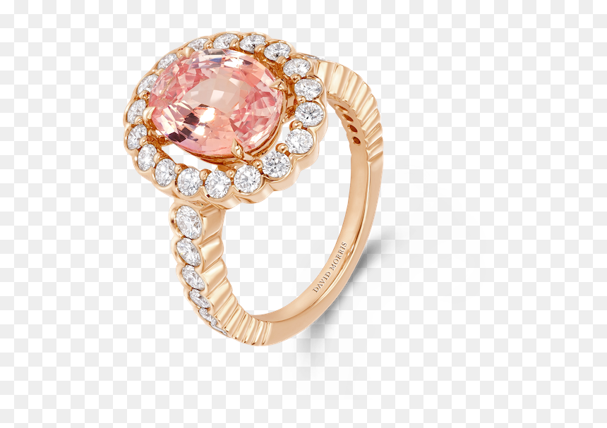 Timeless Elizabeth Collection Padparadscha - 古典 圆 形 宝石 戒指, HD Png Download - angel ring png