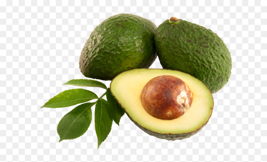 Fino Avocado, HD Png Download - tropical fruits png
