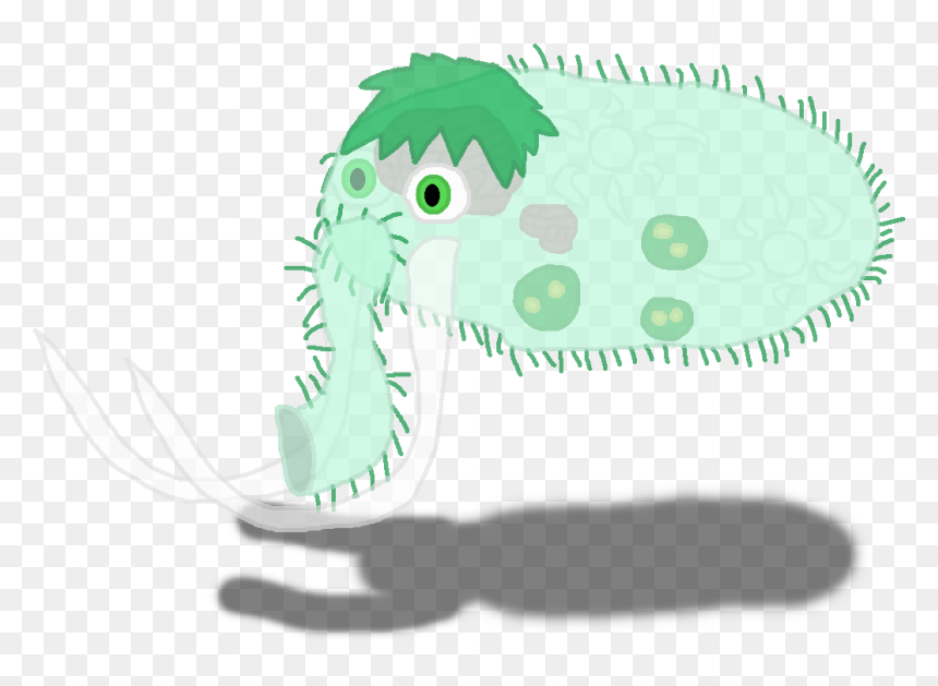 Common - Illustration, HD Png Download - inception png
