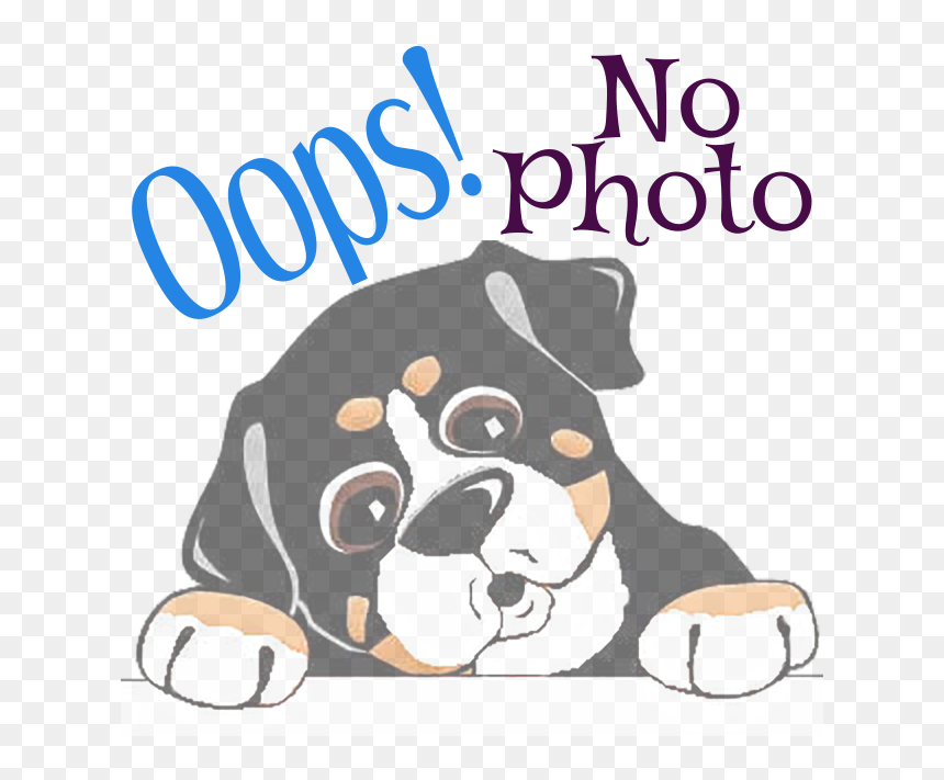 Bernese Mountain Dog, HD Png Download - lucky chloe png