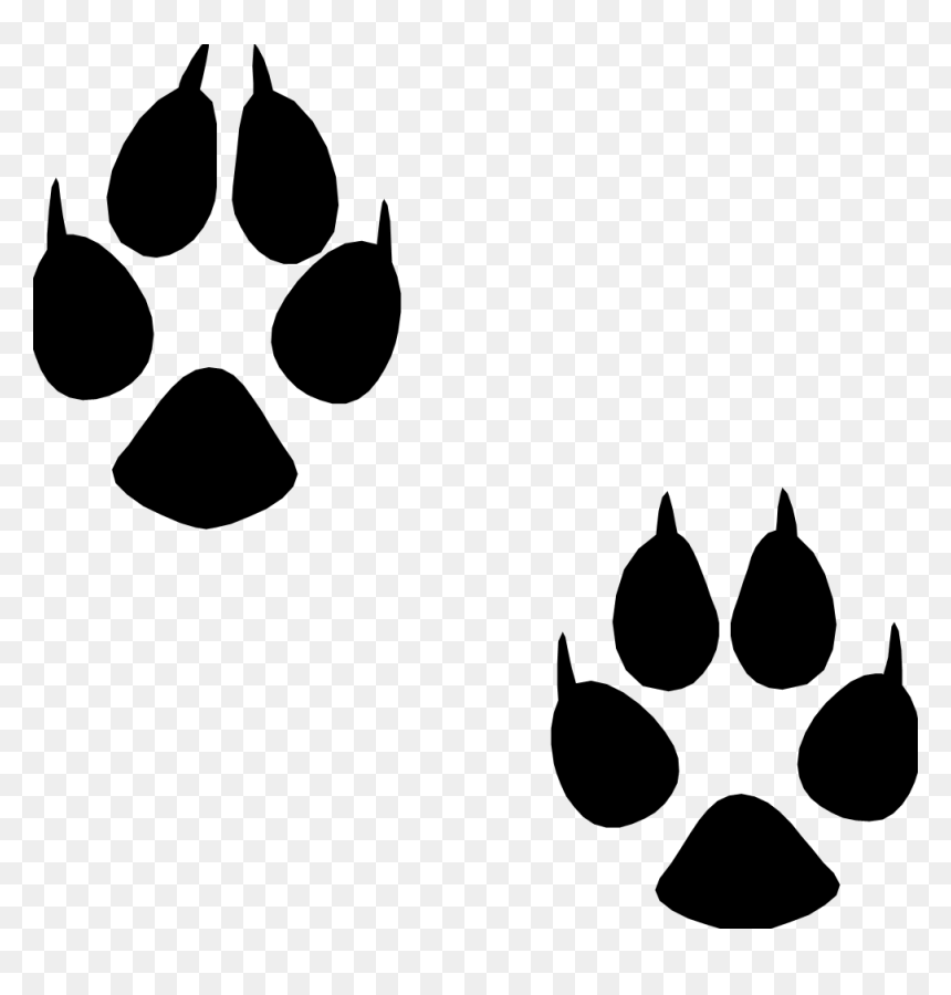 Animal Footprint Png Clipart , Png Download - Animal Footprint Png, Transparent Png - dog footprint png