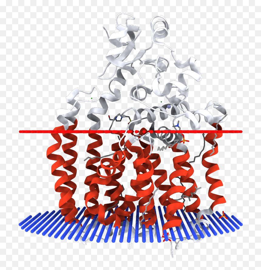 Illustration, HD Png Download - gene belcher png
