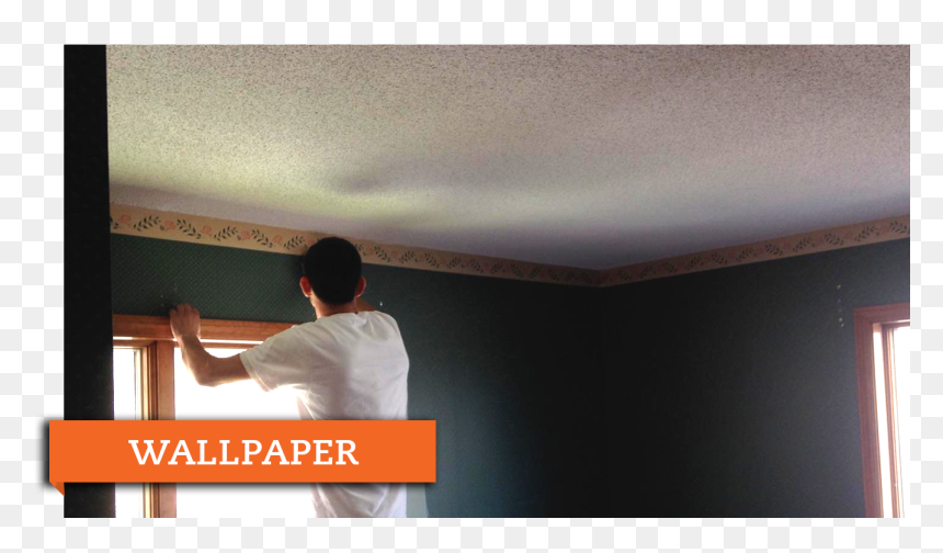 Professional Wallpaper - Professional Wallpaper - Ceiling, HD Png Download - ceiling cat png