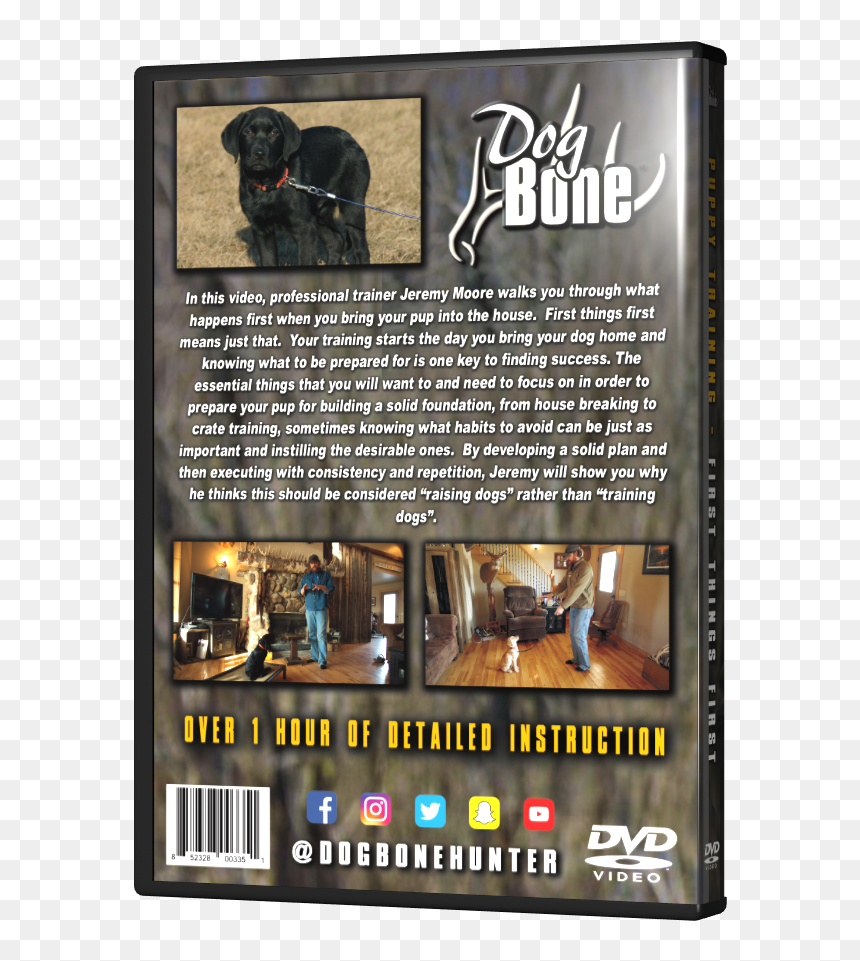 Flyer, HD Png Download - dvd video png