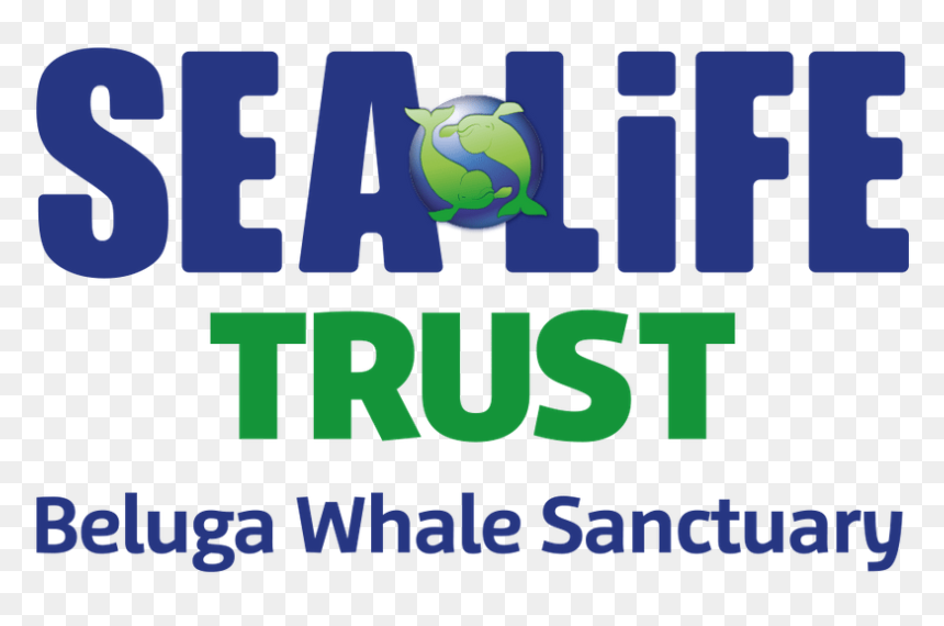 Sea Life Trust Beluga Whale Sanctuary Logo - Beluga Whale Sanctuary Sealife Trust, HD Png Download - beluga whale png